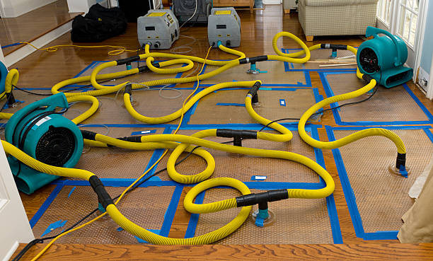 Professional Emergency Water Removal technician working in Rushsylvania, OH