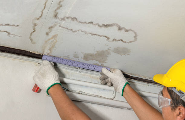 Affordable Water Damage Repair solutions in Rushsylvania, OH